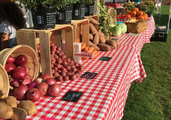 All Roads Lead to Historic Charm