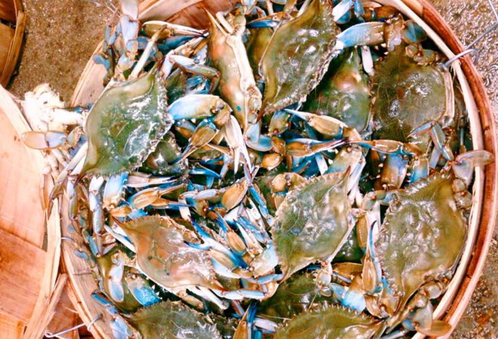 Quality Seafood Restaurant