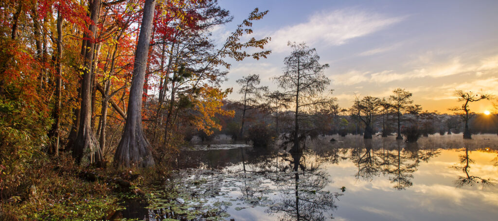 5 Reasons Fall is the Best Time of the Year to Visit the North Carolina Coast